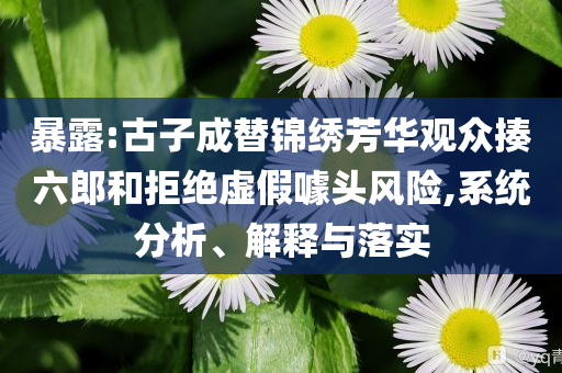 暴露:古子成替錦繡芳華觀眾揍六郎和拒絕虛假噱頭風(fēng)險,系統(tǒng)分析、解釋與落實