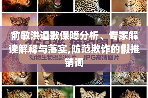 俞敏洪道歉保障分析、專家解讀解釋與落實,防范欺詐的假推銷詞
