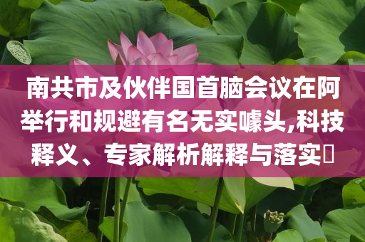 南共市及伙伴國首腦會議在阿舉行和規(guī)避有名無實噱頭,科技釋義、專家解析解釋與落實?