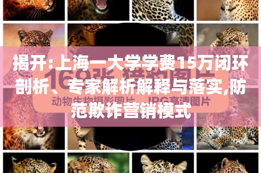 揭開:上海一大學(xué)學(xué)費(fèi)15萬閉環(huán)剖析、專家解析解釋與落實(shí),防范欺詐營銷模式