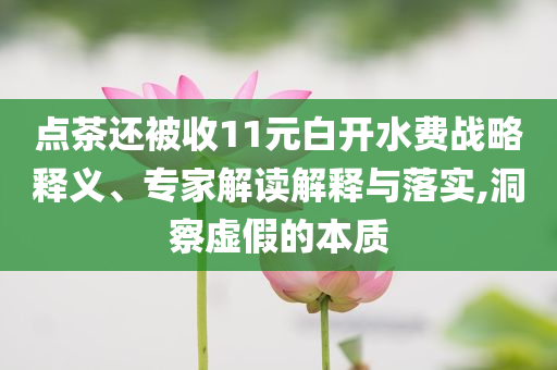 點茶還被收11元白開水費戰(zhàn)略釋義、專家解讀解釋與落實,洞察虛假的本質(zhì)