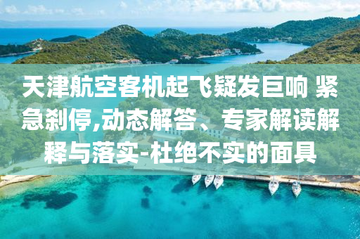 天津航空客機起飛疑發(fā)巨響 緊急剎停,動態(tài)解答、專家解讀解釋與落實-杜絕不實的面具