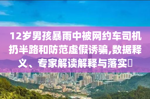 12歲男孩暴雨中被網(wǎng)約車司機扔半路和防范虛假誘騙,數(shù)據(jù)釋義、專家解讀解釋與落實?
