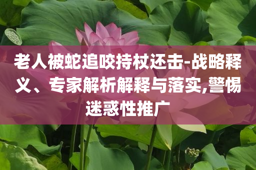 老人被蛇追咬持杖還擊-戰(zhàn)略釋義、專家解析解釋與落實(shí),警惕迷惑性推廣