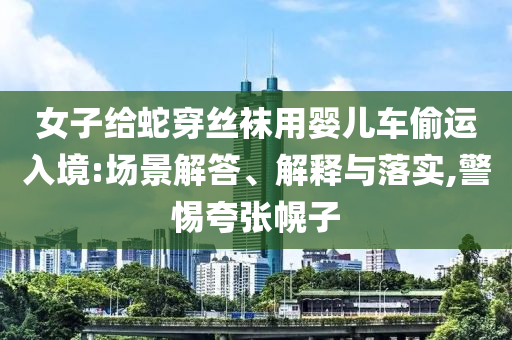 女子給蛇穿絲襪用嬰兒車偷運入境:場景解答、解釋與落實,警惕夸張幌子
