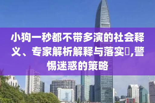 小狗一秒都不帶多演的社會釋義、專家解析解釋與落實?,警惕迷惑的策略