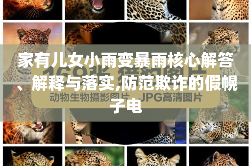 家有兒女小雨變暴雨核心解答、解釋與落實,防范欺詐的假幌子電