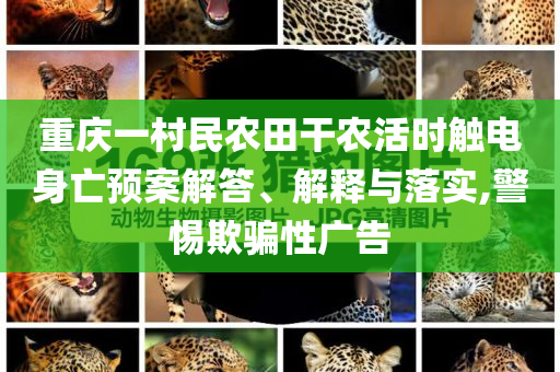重慶一村民農(nóng)田干農(nóng)活時觸電身亡預(yù)案解答、解釋與落實,警惕欺騙性廣告