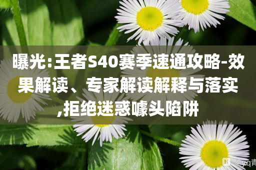 曝光:王者S40賽季速通攻略-效果解讀、專家解讀解釋與落實,拒絕迷惑噱頭陷阱