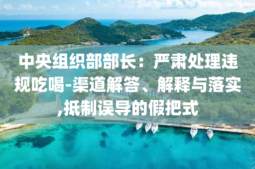 中央組織部部長(zhǎng)：嚴(yán)肅處理違規(guī)吃喝-渠道解答、解釋與落實(shí),抵制誤導(dǎo)的假把式