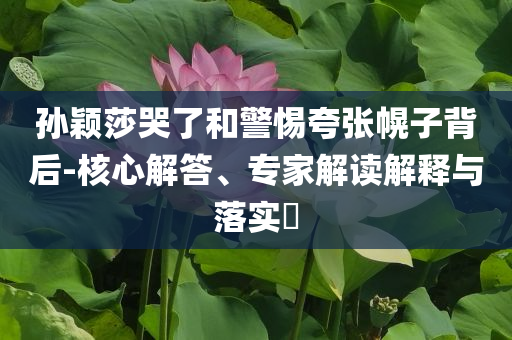 孫穎莎哭了和警惕夸張幌子背后-核心解答、專家解讀解釋與落實?