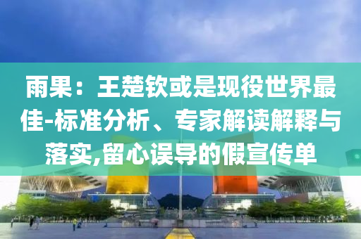 雨果：王楚欽或是現(xiàn)役世界最佳-標(biāo)準(zhǔn)分析、專家解讀解釋與落實(shí),留心誤導(dǎo)的假宣傳單