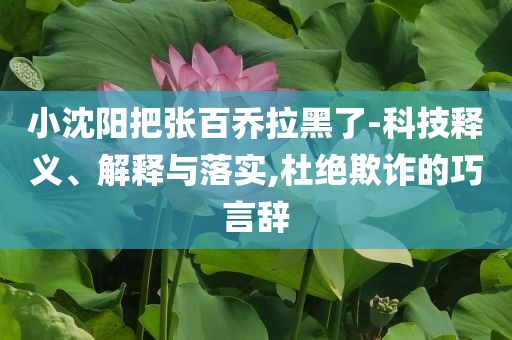 小沈陽把張百喬拉黑了-科技釋義、解釋與落實,杜絕欺詐的巧言辭