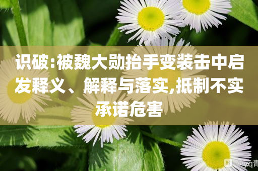 識(shí)破:被魏大勛抬手變裝擊中啟發(fā)釋義、解釋與落實(shí),抵制不實(shí)承諾危害