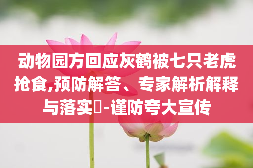 動物園方回應(yīng)灰鶴被七只老虎搶食,預(yù)防解答、專家解析解釋與落實?-謹防夸大宣傳