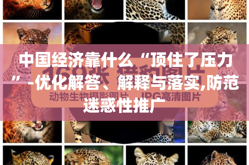 中國(guó)經(jīng)濟(jì)靠什么“頂住了壓力”-優(yōu)化解答、解釋與落實(shí),防范迷惑性推廣