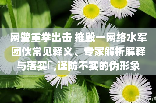 網(wǎng)警重拳出擊 摧毀一網(wǎng)絡(luò)水軍團(tuán)伙常見(jiàn)釋義、專家解析解釋與落實(shí)?,謹(jǐn)防不實(shí)的偽形象