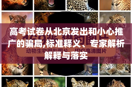 高考試卷從北京發(fā)出和小心推廣的騙局,標(biāo)準(zhǔn)釋義、專家解析解釋與落實(shí)