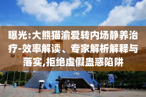 曝光:大熊貓渝愛(ài)轉(zhuǎn)內(nèi)場(chǎng)靜養(yǎng)治療-效率解讀、專家解析解釋與落實(shí),拒絕虛假蠱惑陷阱