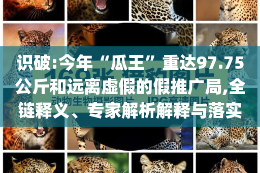 識(shí)破:今年“瓜王”重達(dá)97.75公斤和遠(yuǎn)離虛假的假推廣局,全鏈釋義、專家解析解釋與落實(shí)