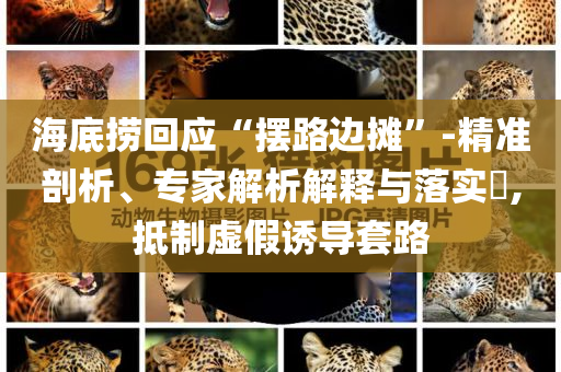 海底撈回應(yīng)“擺路邊攤”-精準(zhǔn)剖析、專家解析解釋與落實?,抵制虛假誘導(dǎo)套路