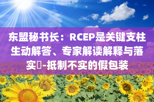 東盟秘書長：RCEP是關(guān)鍵支柱生動解答、專家解讀解釋與落實?-抵制不實的假包裝