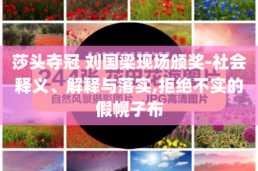 莎頭奪冠 劉國梁現(xiàn)場頒獎-社會釋義、解釋與落實,拒絕不實的假幌子布
