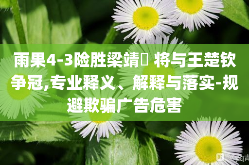 雨果4-3險勝梁靖崑 將與王楚欽爭冠,專業(yè)釋義、解釋與落實-規(guī)避欺騙廣告危害
