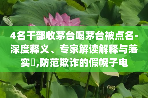 4名干部收茅臺喝茅臺被點名-深度釋義、專家解讀解釋與落實?,防范欺詐的假幌子電