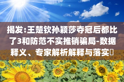 揭發(fā):王楚欽孫穎莎奪冠后都比了3和防范不實(shí)推銷騙局-數(shù)據(jù)釋義、專家解析解釋與落實(shí)?