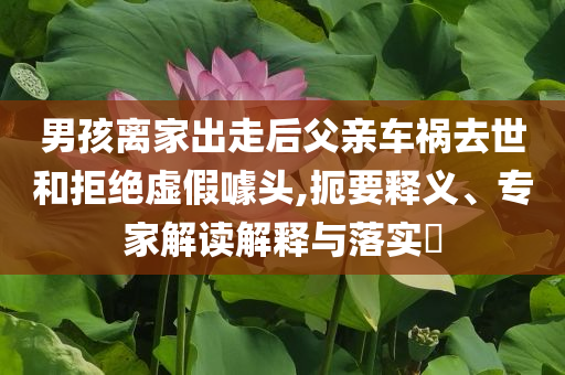 男孩離家出走后父親車禍去世和拒絕虛假噱頭,扼要釋義、專家解讀解釋與落實(shí)?