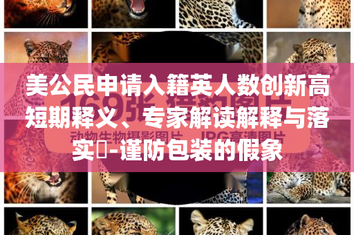 美公民申請入籍英人數(shù)創(chuàng)新高短期釋義、專家解讀解釋與落實(shí)?-謹(jǐn)防包裝的假象