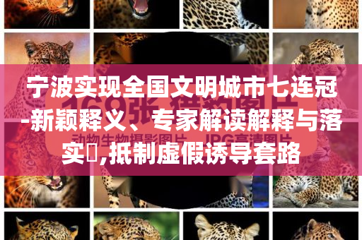 寧波實(shí)現(xiàn)全國(guó)文明城市七連冠-新穎釋義、專(zhuān)家解讀解釋與落實(shí)?,抵制虛假誘導(dǎo)套路