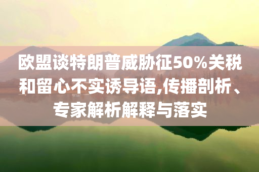 歐盟談特朗普威脅征50%關(guān)稅和留心不實(shí)誘導(dǎo)語,傳播剖析、專家解析解釋與落實(shí)
