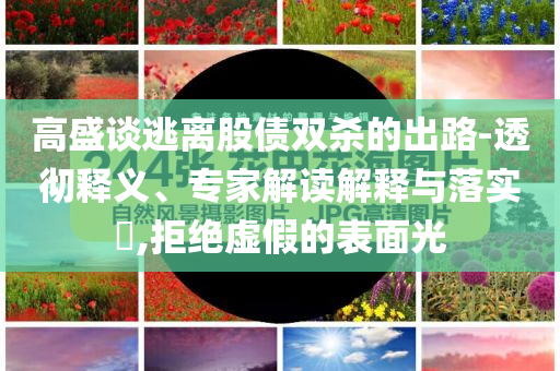 高盛談逃離股債雙殺的出路-透徹釋義、專家解讀解釋與落實(shí)?,拒絕虛假的表面光