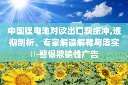 中國鋰電池對歐出口獲緩沖,透徹剖析、專家解讀解釋與落實(shí)?-警惕欺騙性廣告