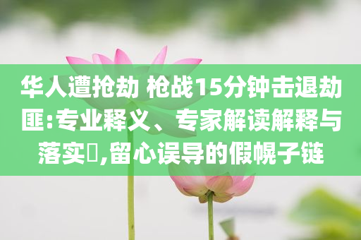 華人遭搶劫 槍戰(zhàn)15分鐘擊退劫匪:專業(yè)釋義、專家解讀解釋與落實?,留心誤導的假幌子鏈