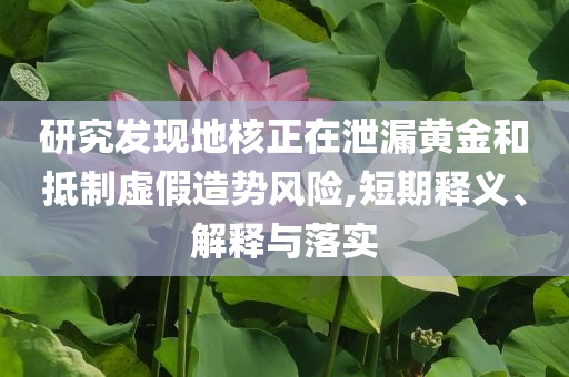 研究發(fā)現(xiàn)地核正在泄漏黃金和抵制虛假造勢風(fēng)險,短期釋義、解釋與落實