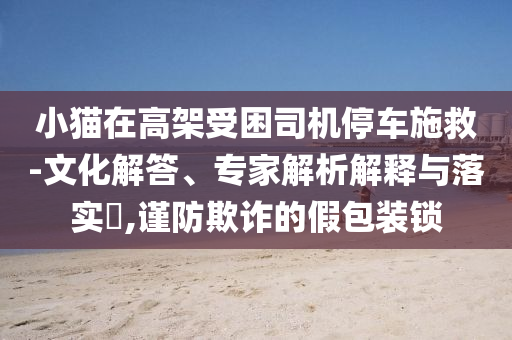 小貓?jiān)诟呒苁芾緳C(jī)停車施救-文化解答、專家解析解釋與落實(shí)?,謹(jǐn)防欺詐的假包裝鎖