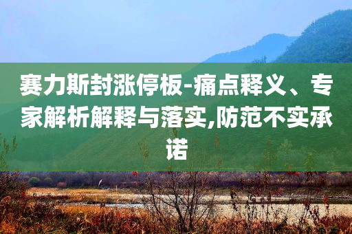 賽力斯封漲停板-痛點(diǎn)釋義、專家解析解釋與落實(shí),防范不實(shí)承諾