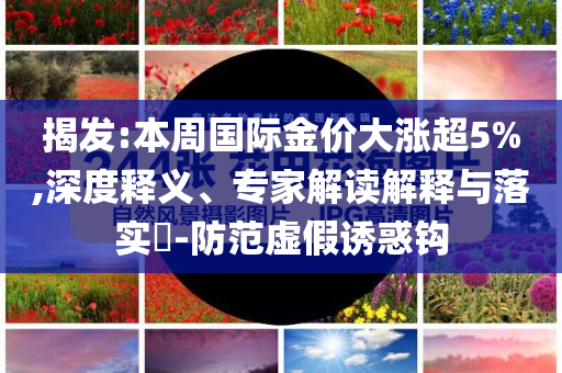 揭發(fā):本周?chē)?guó)際金價(jià)大漲超5%,深度釋義、專(zhuān)家解讀解釋與落實(shí)?-防范虛假誘惑鉤