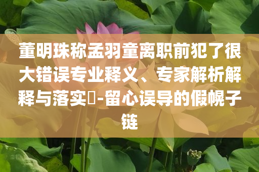 董明珠稱孟羽童離職前犯了很大錯(cuò)誤專業(yè)釋義、專家解析解釋與落實(shí)?-留心誤導(dǎo)的假幌子鏈