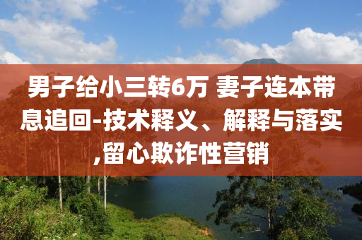 男子給小三轉(zhuǎn)6萬 妻子連本帶息追回-技術(shù)釋義、解釋與落實(shí),留心欺詐性營銷