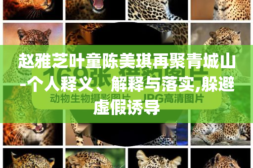 趙雅芝葉童陳美琪再聚青城山-個人釋義、解釋與落實,躲避虛假誘導