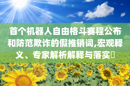 首個(gè)機(jī)器人自由格斗賽程公布和防范欺詐的假推銷詞,宏觀釋義、專家解析解釋與落實(shí)?