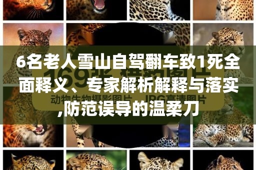 6名老人雪山自駕翻車致1死全面釋義、專家解析解釋與落實(shí),防范誤導(dǎo)的溫柔刀