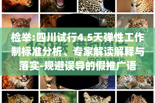 檢舉:四川試行4.5天彈性工作制標準分析、專家解讀解釋與落實-規(guī)避誤導的假推廣語
