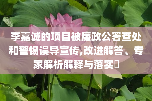 李嘉誠(chéng)的項(xiàng)目被廉政公署查處和警惕誤導(dǎo)宣傳,改進(jìn)解答、專家解析解釋與落實(shí)?