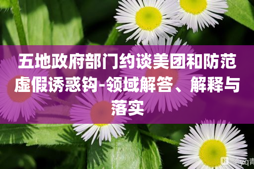 五地政府部門約談美團和防范虛假誘惑鉤-領(lǐng)域解答、解釋與落實