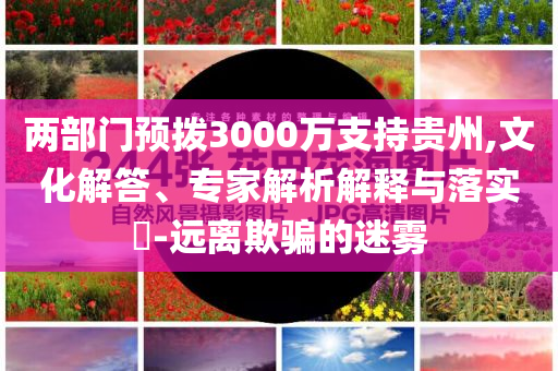 兩部門預(yù)撥3000萬支持貴州,文化解答、專家解析解釋與落實(shí)?-遠(yuǎn)離欺騙的迷霧